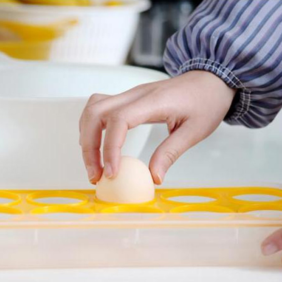 Khay đựng trứng 10 ngăn có nắp đậy Sanada nội địa Nhật Bản