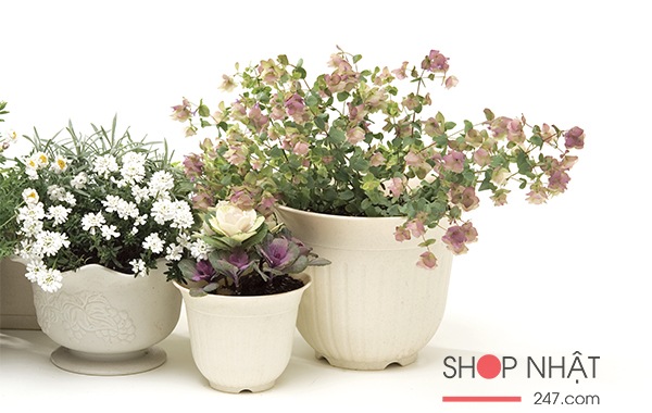 Chậu hoa tròn sanada màu trắng 21cm nội địa Nhật Bản
