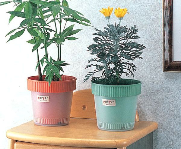 Chậu trồng cây 2 lớp