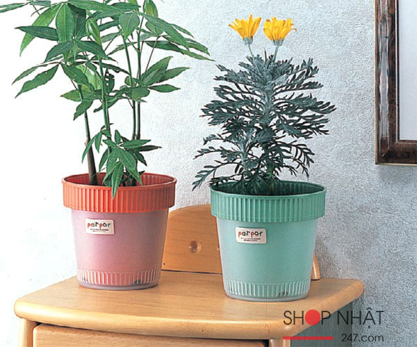Chậu trồng cây 2 lớp