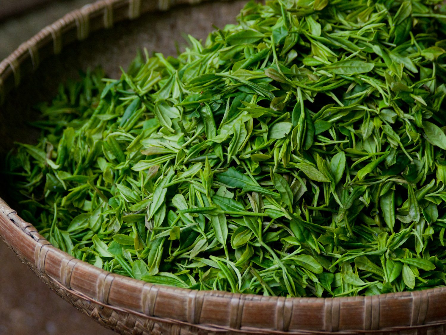 Bột trà rang Houjicha gói 100g